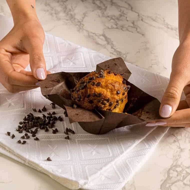 muffin chocolate